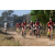 Team 111 / Raid Amazones Sri Lanka 2019 - J3 VTT