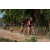 Team 01 / Raid Amazones Sri Lanka 2019 - J3 VTT