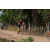 Team 101 / Raid Amazones Sri Lanka 2019 - J3 VTT