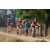 Team 38 / Raid Amazones Sri Lanka 2019 - J3 VTT