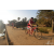 Team 30 / Raid Amazones Sri Lanka 2019 - J3 VTT