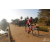 Team 30 / Raid Amazones Sri Lanka 2019 - J3 VTT
