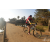 Team 103 / Raid Amazones Sri Lanka 2019 - J3 VTT