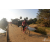 Team 123 / Raid Amazones Sri Lanka 2019 - J3 VTT
