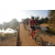 Team 111 / Raid Amazones Sri Lanka 2019 - J3 VTT