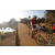 Team 111 / Raid Amazones Sri Lanka 2019 - J3 VTT