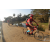 Team 122 / Raid Amazones Sri Lanka 2019 - J3 VTT