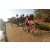 Team 03 / Raid Amazones Sri Lanka 2019 - J3 VTT
