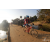 Team 08 / Raid Amazones Sri Lanka 2019 - J3 VTT