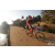 Team 20 / Raid Amazones Sri Lanka 2019 - J3 VTT