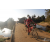 Team 135 / Raid Amazones Sri Lanka 2019 - J3 VTT