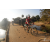 Team 135 / Raid Amazones Sri Lanka 2019 - J3 VTT