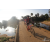 Team 09 / Raid Amazones Sri Lanka 2019 - J3 VTT