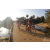Team 114 / Raid Amazones Sri Lanka 2019 - J3 VTT
