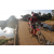Team 114 / Raid Amazones Sri Lanka 2019 - J3 VTT