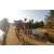 Team 14 / Raid Amazones Sri Lanka 2019 - J3 VTT