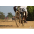 Team 01 / Raid Amazones Sri Lanka 2019 - J3 VTT