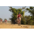 Team 01 / Raid Amazones Sri Lanka 2019 - J3 VTT