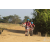 Team 08 / Raid Amazones Sri Lanka 2019 - J3 VTT