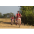 Team 30 / Raid Amazones Sri Lanka 2019 - J3 VTT