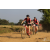 Team 09 / Raid Amazones Sri Lanka 2019 - J3 VTT