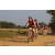 Team 09 / Raid Amazones Sri Lanka 2019 - J3 VTT