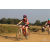 Team 06 / Raid Amazones Sri Lanka 2019 - J3 VTT