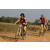 Team 50 / Raid Amazones Sri Lanka 2019 - J3 VTT