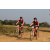 Team 14 / Raid Amazones Sri Lanka 2019 - J3 VTT
