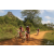 Team 114 / Raid Amazones Sri Lanka 2019 - J3 VTT