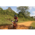 Team 114 / Raid Amazones Sri Lanka 2019 - J3 VTT