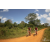 Team 09 / Raid Amazones Sri Lanka 2019 - J3 VTT