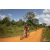 Team 37 / Raid Amazones Sri Lanka 2019 - J3 VTT