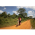 Team 123 / Raid Amazones Sri Lanka 2019 - J3 VTT