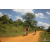 Team 135 / Raid Amazones Sri Lanka 2019 - J3 VTT