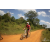 Team 135 / Raid Amazones Sri Lanka 2019 - J3 VTT
