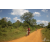 Team 50 / Raid Amazones Sri Lanka 2019 - J3 VTT
