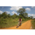 Team 50 / Raid Amazones Sri Lanka 2019 - J3 VTT