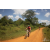 Team 26 / Raid Amazones Sri Lanka 2019 - J3 VTT