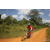 Team 26 / Raid Amazones Sri Lanka 2019 - J3 VTT