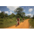 Team 34 / Raid Amazones Sri Lanka 2019 - J3 VTT