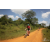 Team 111 / Raid Amazones Sri Lanka 2019 - J3 VTT