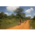Team 105 / Raid Amazones Sri Lanka 2019 - J3 VTT