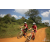 Team 105 / Raid Amazones Sri Lanka 2019 - J3 VTT