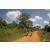 Team 12 / Raid Amazones Sri Lanka 2019 - J3 VTT