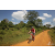 Team 30 / Raid Amazones Sri Lanka 2019 - J3 VTT