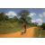 Team 143 / Raid Amazones Sri Lanka 2019 - J3 VTT