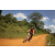 Team 143 / Raid Amazones Sri Lanka 2019 - J3 VTT