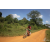 Team 102 / Raid Amazones Sri Lanka 2019 - J3 VTT