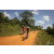 Team 03 / Raid Amazones Sri Lanka 2019 - J3 VTT